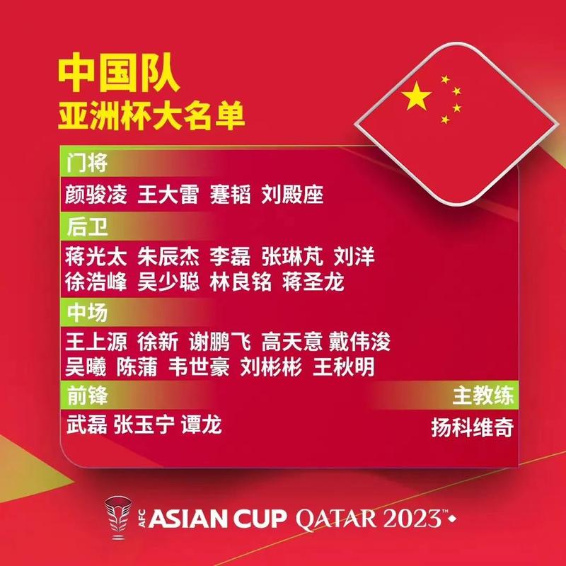 中国杯名单