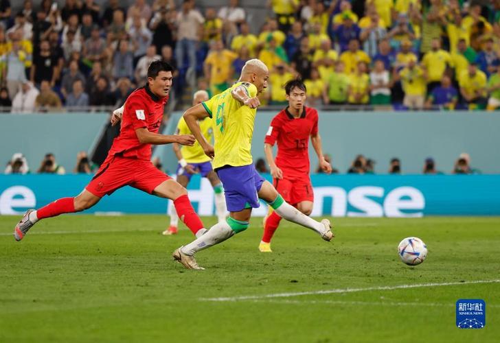 巴西韩国世界杯